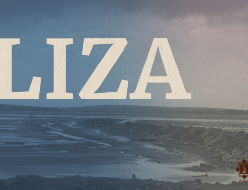 Liza