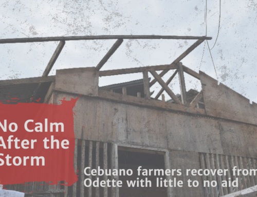 No Calm after the Storm: Cebuano Farmers Recover from Odette with Little to No Aid
